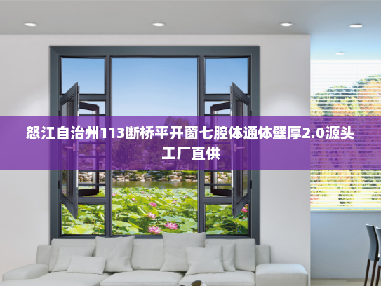 怒江自治州113断桥平开窗七腔体通体壁厚2.0源头工厂直供
